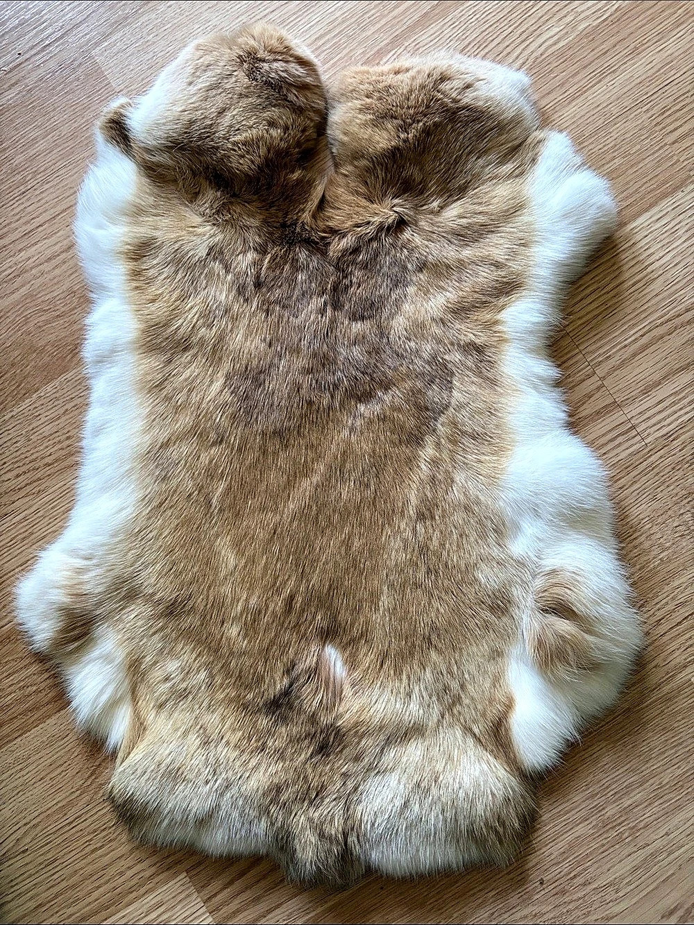 B0220 rabbit fur pelt craft supply 15*21 inches13